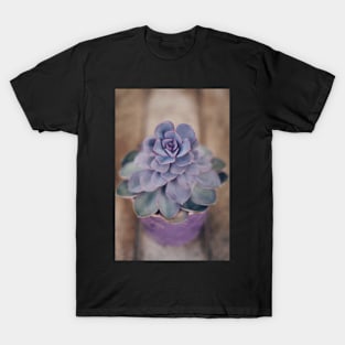 Purple Pearl in Pot T-Shirt